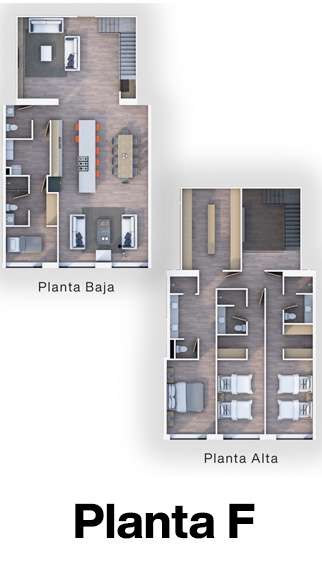 Planta F