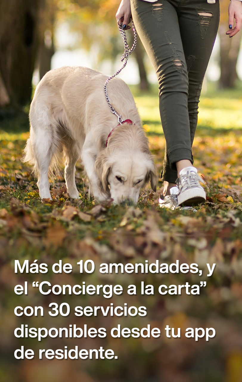 Ícono de la CDMX