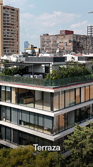 Terraza