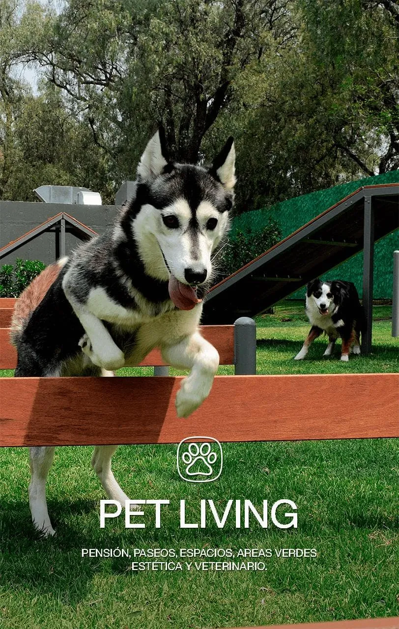 Pet Living